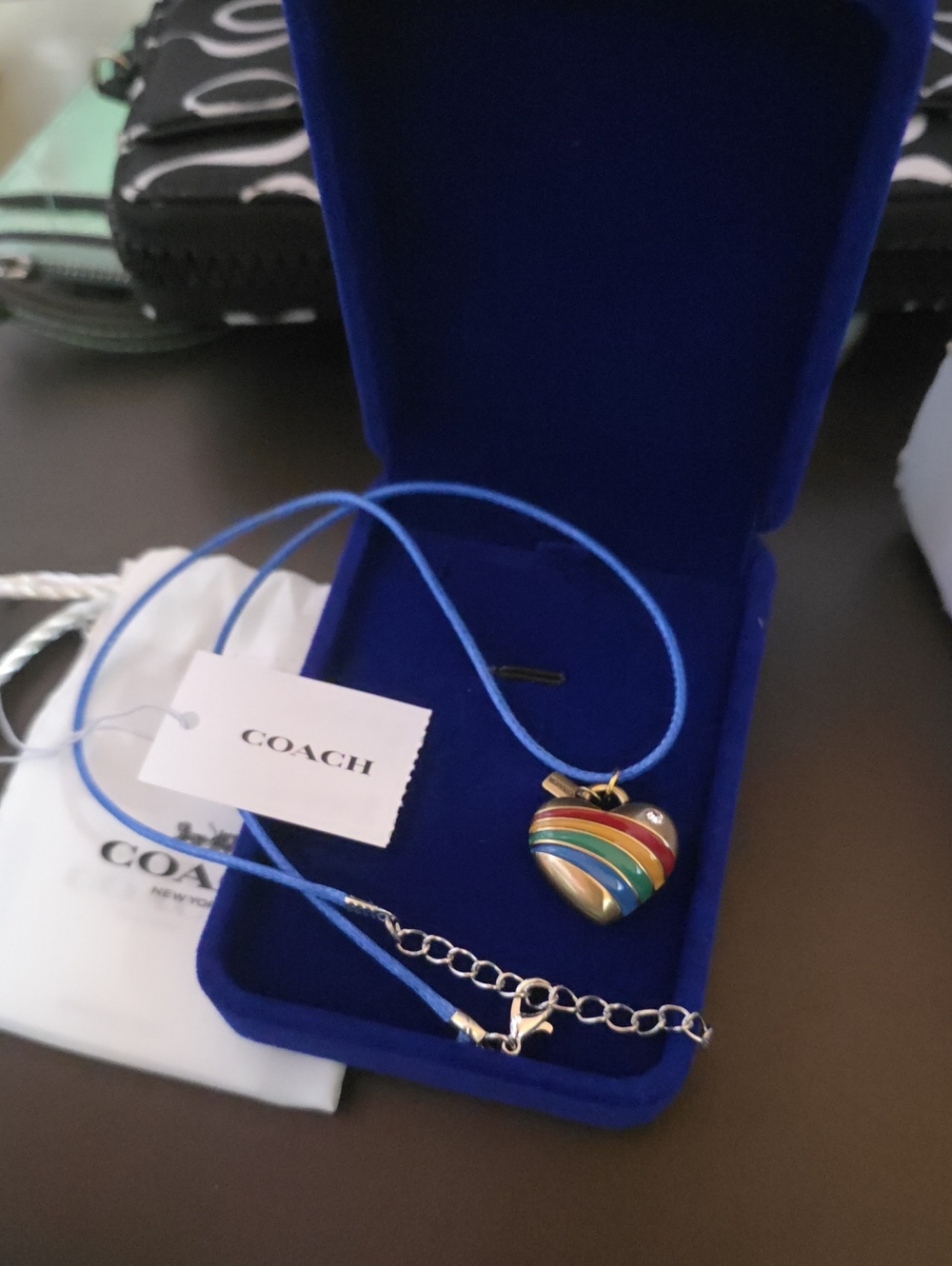 Coach Nwt Rainbow Heart Charm W/ Unbranded Wax Leather Cord Necklace - Picture 5 of 5